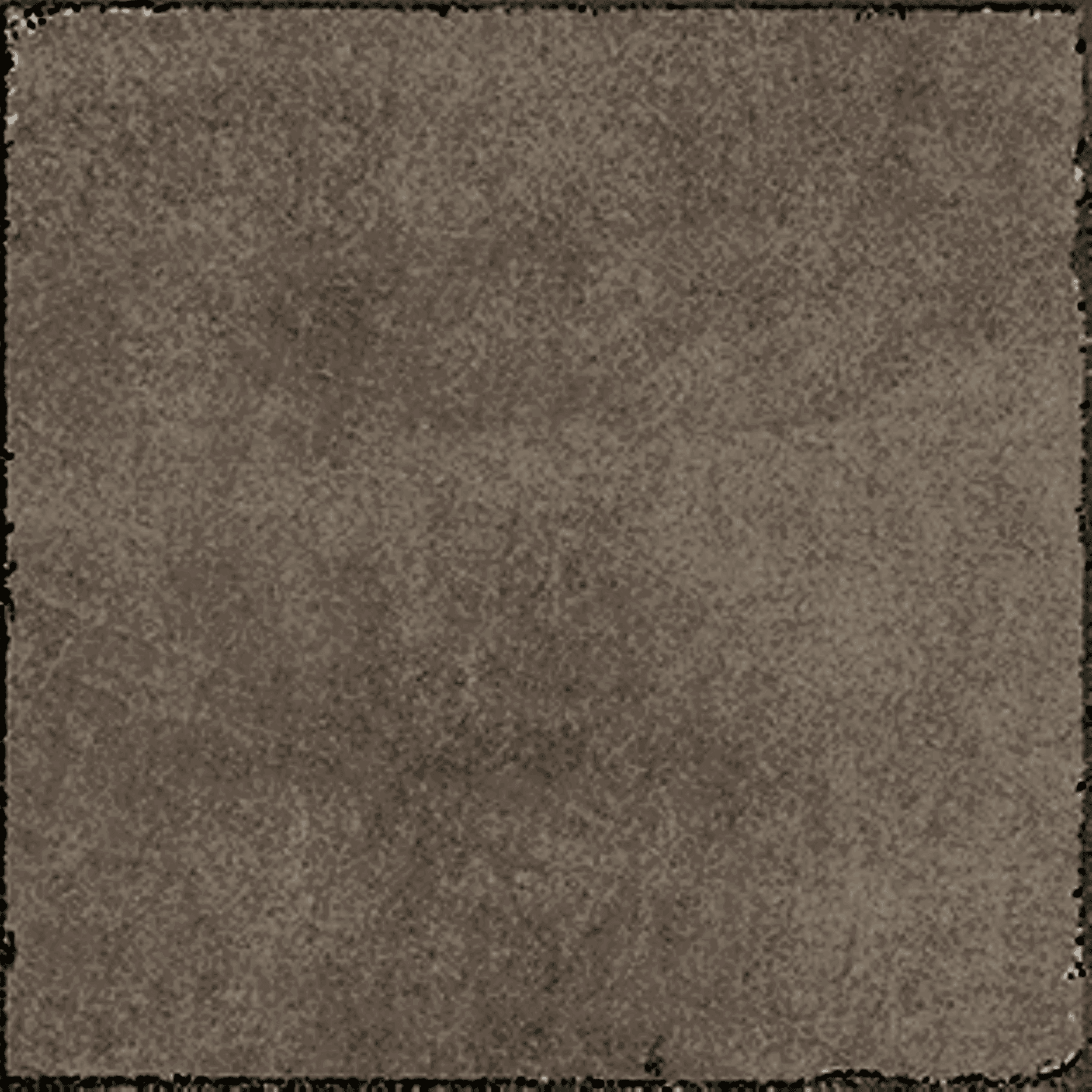 20*20 VALENCIA CORAL