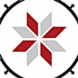 4250-20x20 Desenli Seramik Karosu